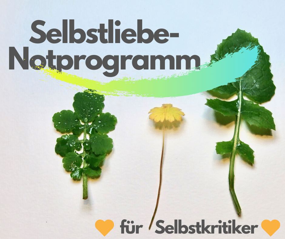 Du betrachtest gerade Wie du Selbstliebe lernst – sogar dann, wenn du zu den selbstkritischsten Personen auf diesem Planeten gehörst