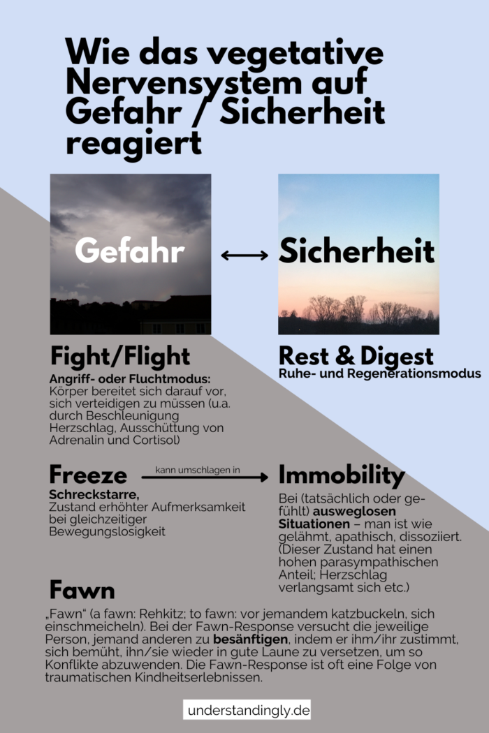 Grafik, die die unterschiedlichen Reaktionen des vegetativen Nervensystems auf Sicherheit und Gefahr illustriert: Fight, Flight, Freeze, Fawn bei Gefahr; bei Sicherheit hingegen Rest & Digest.