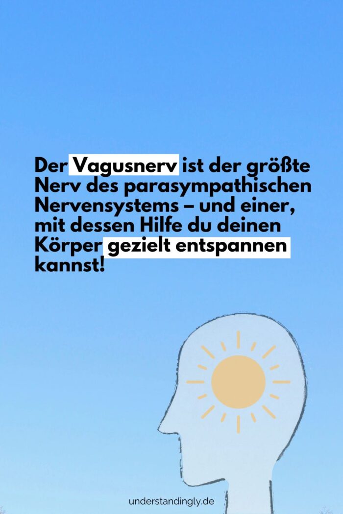 Grafik mit Text: Der Vagusnerv ist der größte Nerv des parasympathischen Nervensystems – und einer, mit dessen Hilfe du deinen Körper gezielt entspannen kannst!