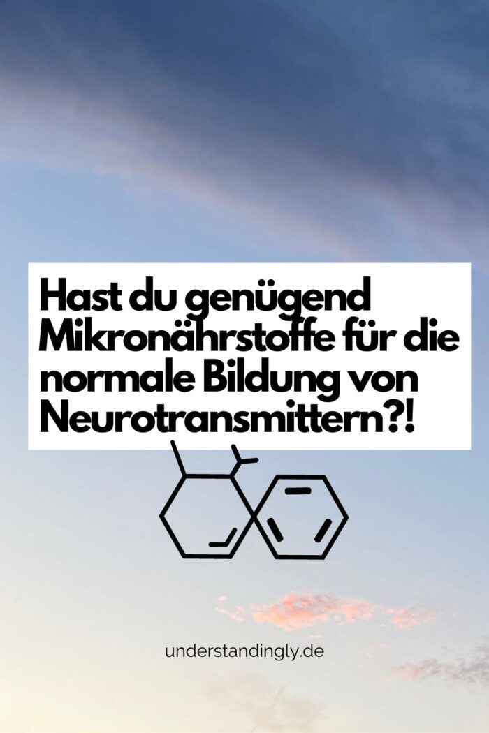 Pinterest-Grafik. Abendhimmel, davor der Text: Hast du genügend Mikronährstoffe für die normale Bildung von Neurotransmittern?