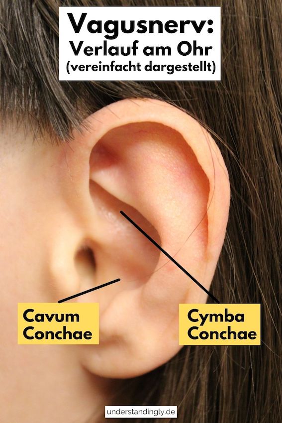 Vagusnerv-Verlauf am Ohr. Zu sehen ist das Foto einer Ohrmuschel, bei denen die Bereiche Cavum Conchae und Cymba Conchae markiert sind. Das sind ungefähr die Bereiche des Ohrs, die von einem In-Ear-Ohrstöpsel berührt werden (plus noch ein wenig mehr).